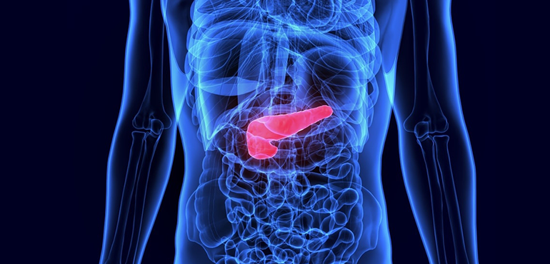 Gallbladder